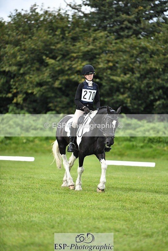 230826-111535-15802 - Sections C & D 10 to End