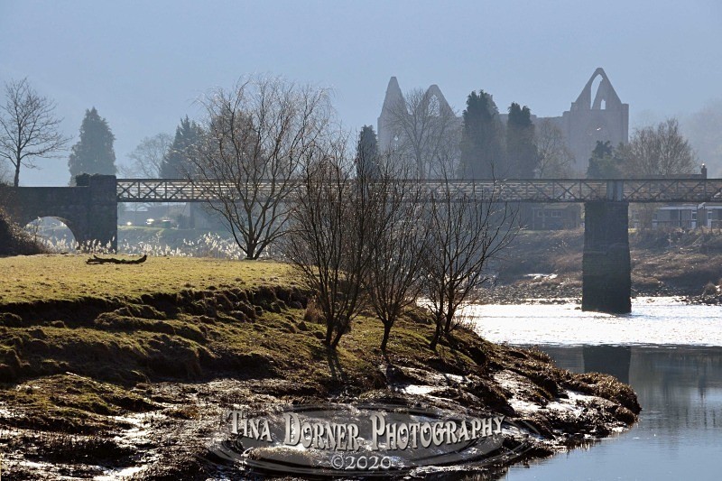 Tintern Abbey and bridge from the River bank by Tina Dorner Photography, Forest of Dean and Wye Valley, Gloucestershire