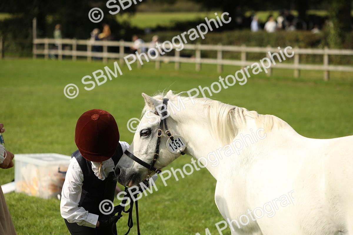 SBM_68669 - S40 - Junior Handler 9-12 Years