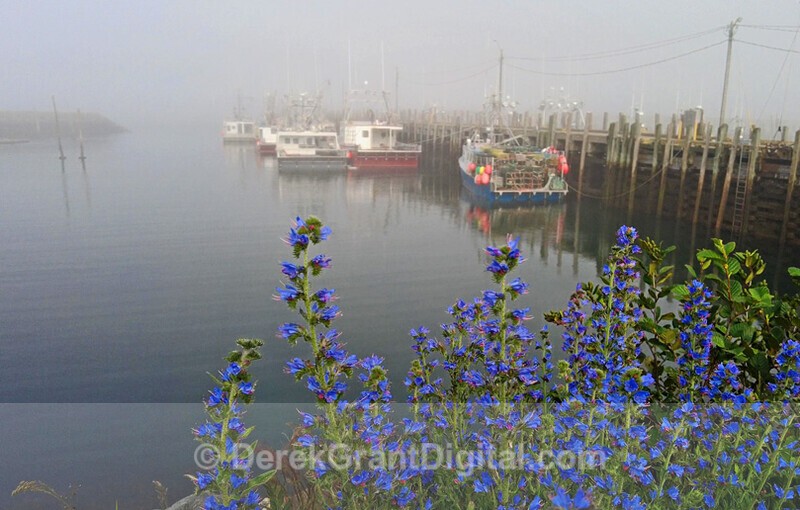 Ingalls Head Fishermen's Wharf Grand Manan - Fundy Postcards