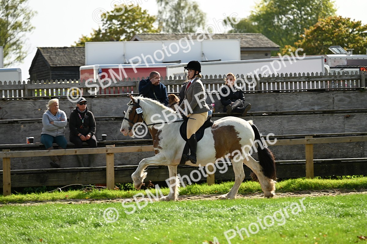 SBM_01848 - S2 - TSR Ridden Horse Showing