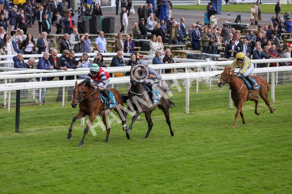 140624-Race 4-Havana Gila-5633 - Race 4 3.35pm Seat Unique Ganton Stakes