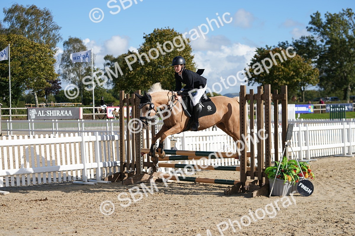 SBM_49264 - J8 - Junior Pony 65cm Championship