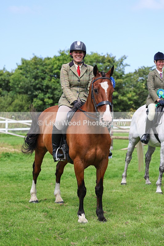 3E7A8811 - Class 5: Working Show Horse