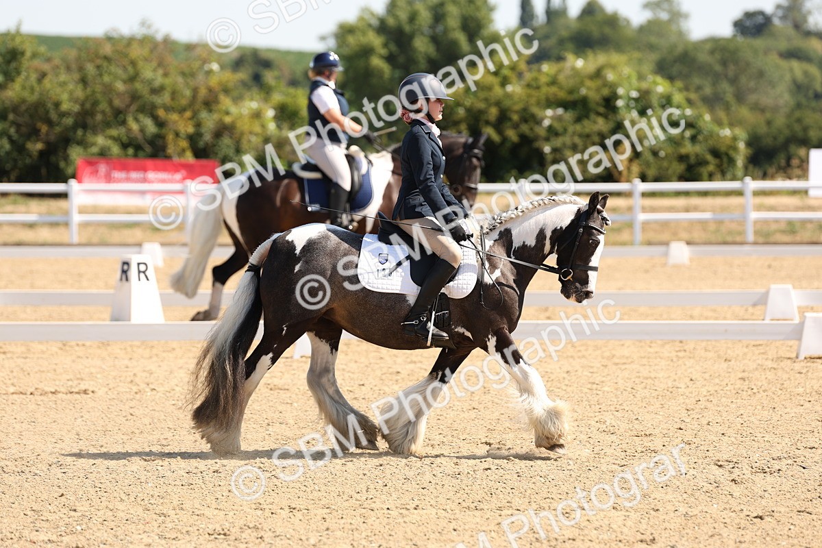 SBM_001062 - Intro 2