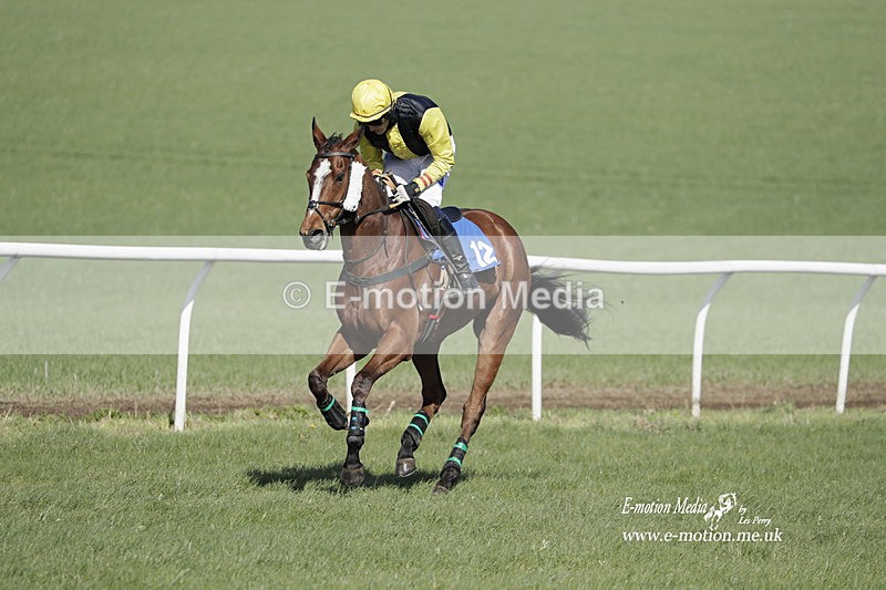 PtP 100423 732 - Old Berkshire Point-to-Point Lockinge 10/04/23