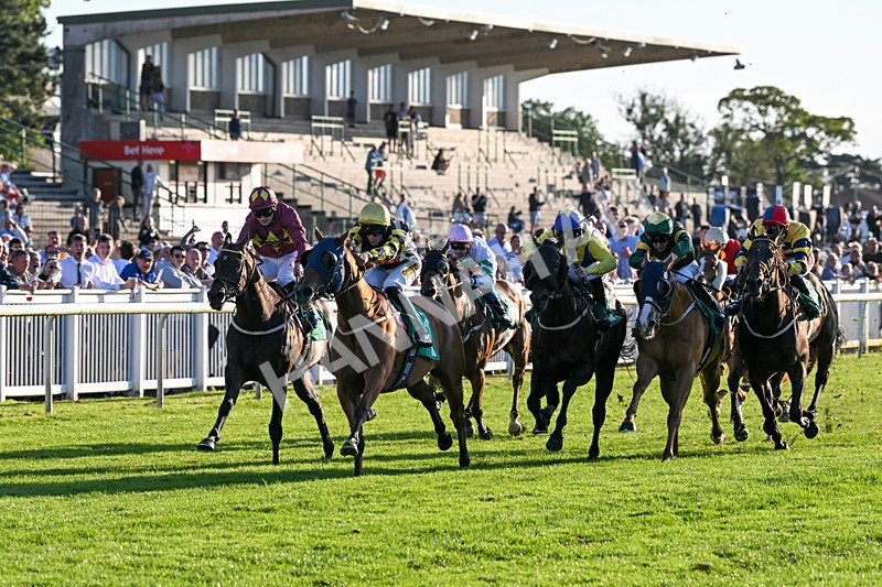 160824-Race 5-Ready Freddie Go-9561 - Race 5