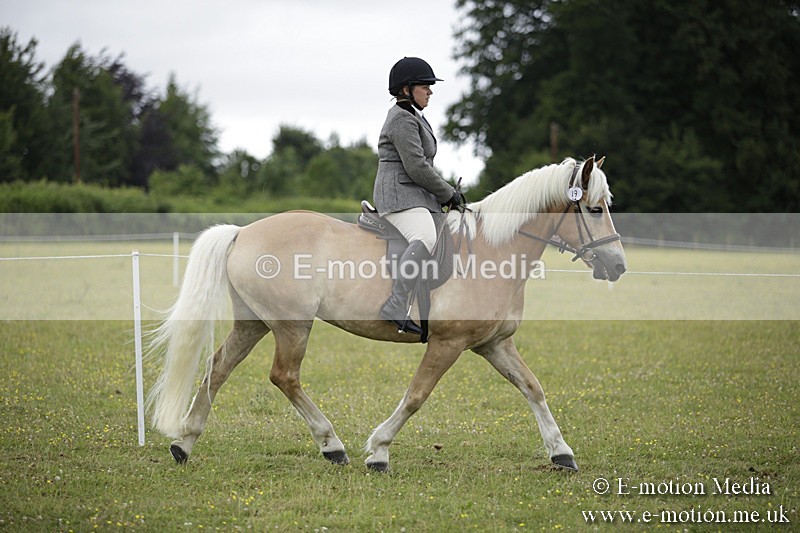 BVR160717-1507 - Ring 1 BVRC Show 16/07/17