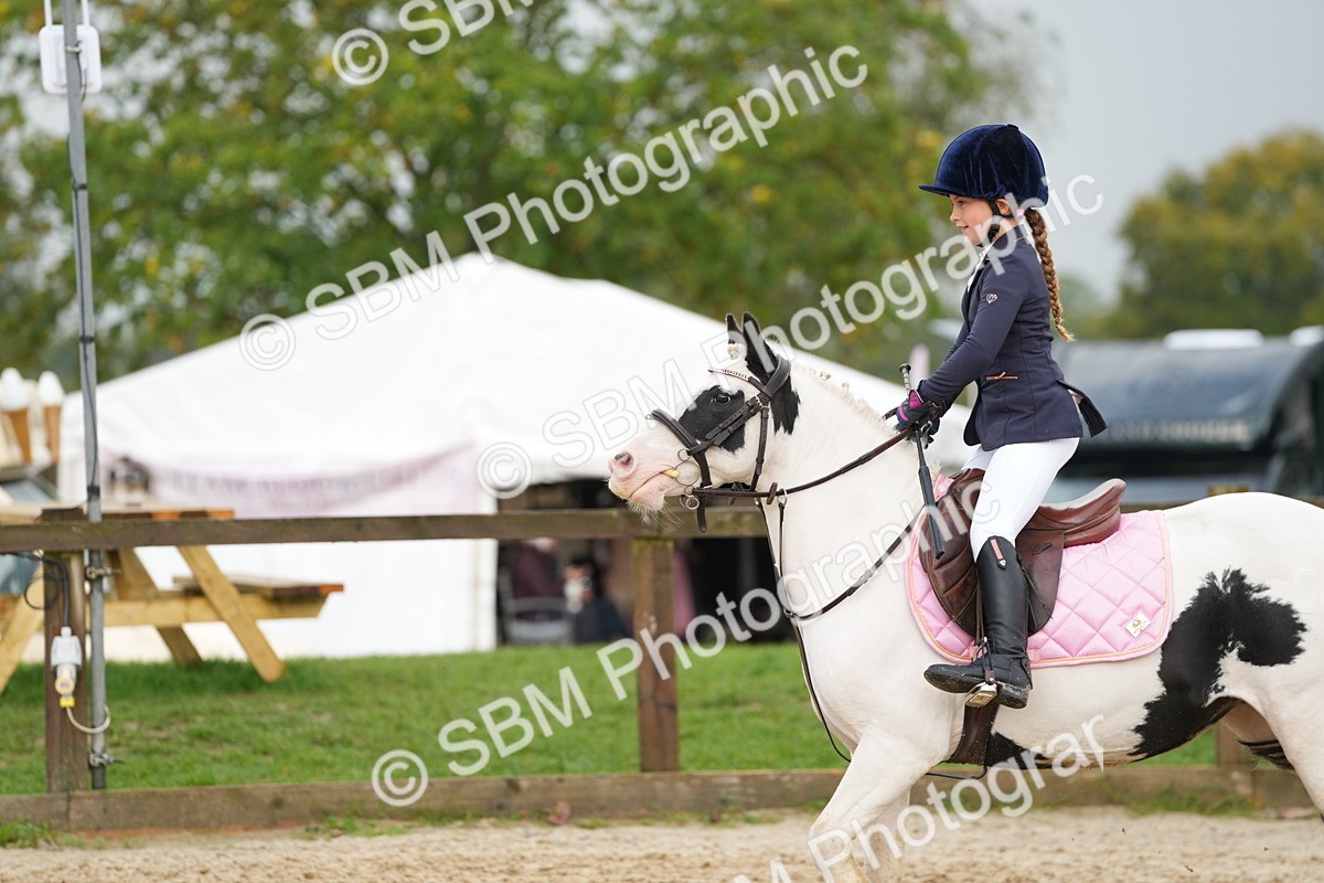 SBM_32453 - J5 - Junior Pony 50cm Championship