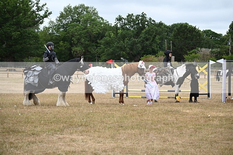 WJ6_9178 - Class 11 Fancy Dress