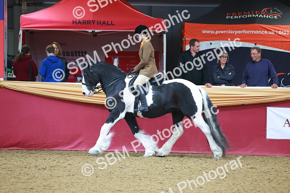 SBM_09739 - Class 102 - HOYS Veteran Qualifier - Ridden Veteran