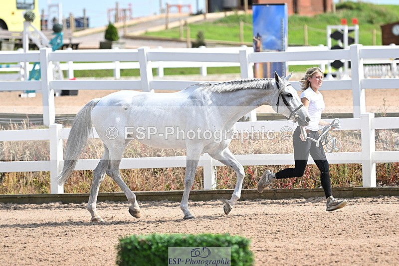 240717A-155956-03252 - Trot Up 3pm to 4pm