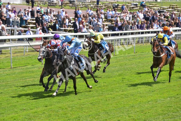 yr11062021r2-50 - Race 2 2.20pm Churchill Tyres Stakes