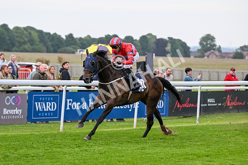 160626-Race 4-Dream Deal-4866 - Race 4 20.00pm Coachman Caravans Classic Handicap