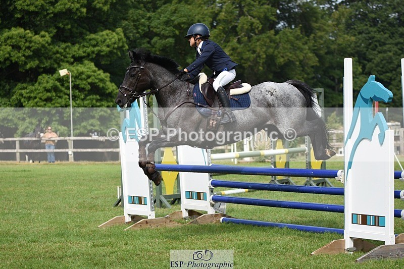 230617-093804-01609 - Cls 15 British Novice & 80cm Open