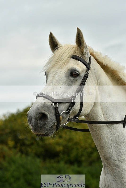 230817-152240-01477 - Theo's 2nd Group - XC