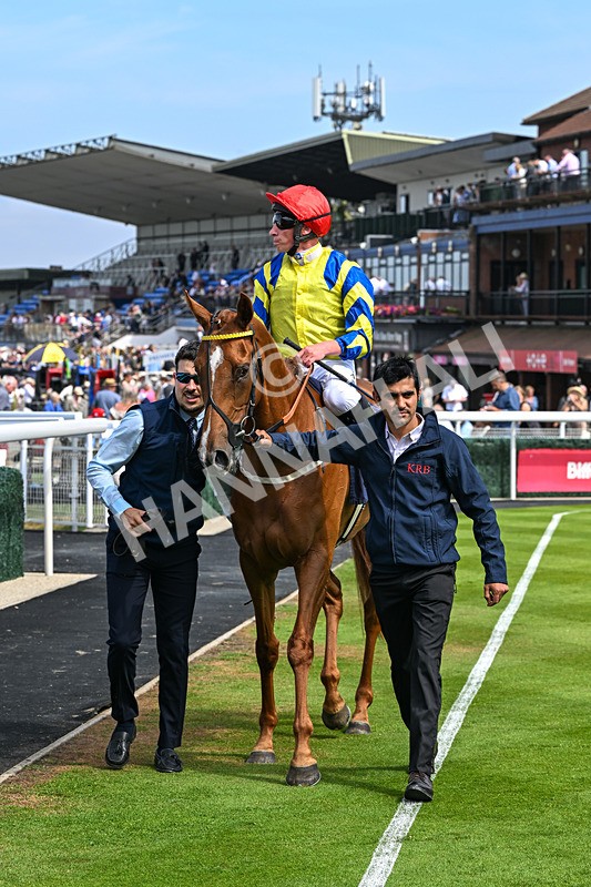 140726-Race 3-Pendella-0437 - Race 3 15.17pm Malcolm Greenslade Doncaster LVA Stalwart Memorial Handicap