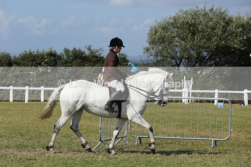 1X9A5912 - Class 41:. NPS New Forest & Connemara