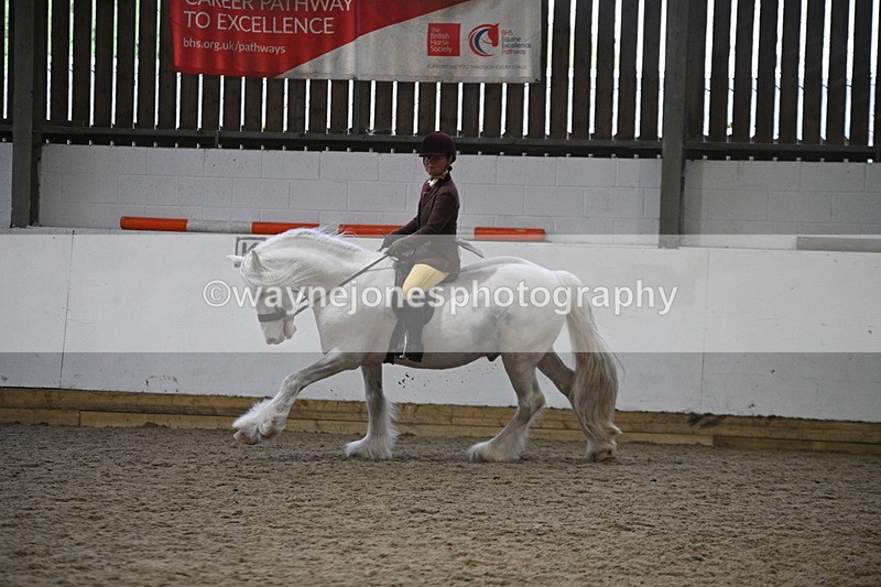 WJ7_4180 - Class 17 Ridden Cob