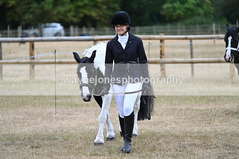 WJ7_8029 - Class 4 Prettiest Mare up to 14.2hh