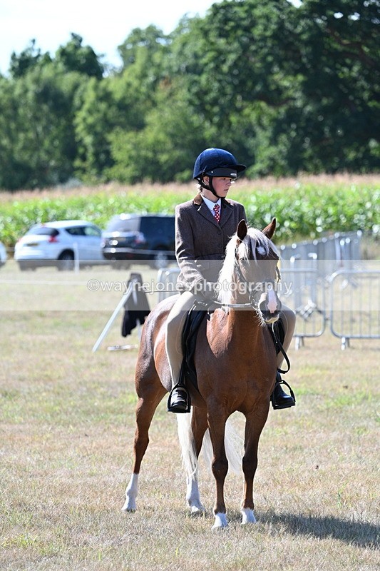 WJ7_3588 - Class 9 Mountain & Moorland Ridden