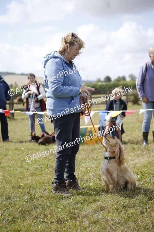 20250831-3647 - Dog Show