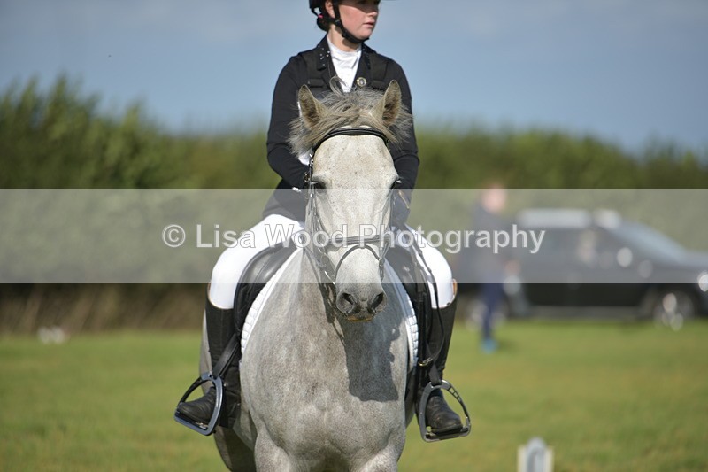 RAY_7366 - Class 2B: Trekenning Open: Dressage