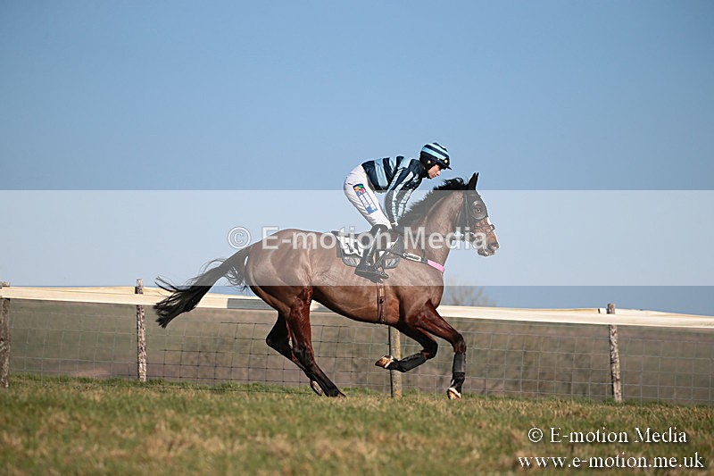 PtP 230219 404 - Vine & Craven Point-To-Point - Barbury 23/02/19