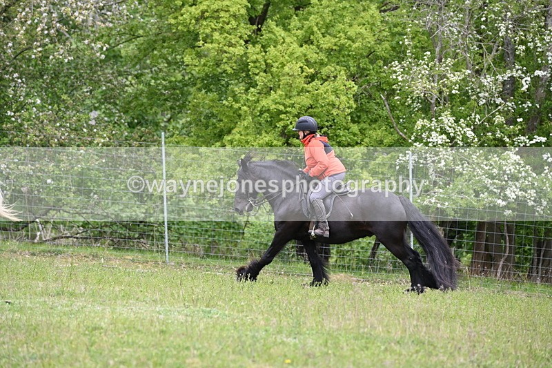 WJ6_1651 - Group 5 A&B Cameras