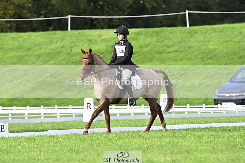 251023A-102032-02821 - F-403-Hugo.Moor