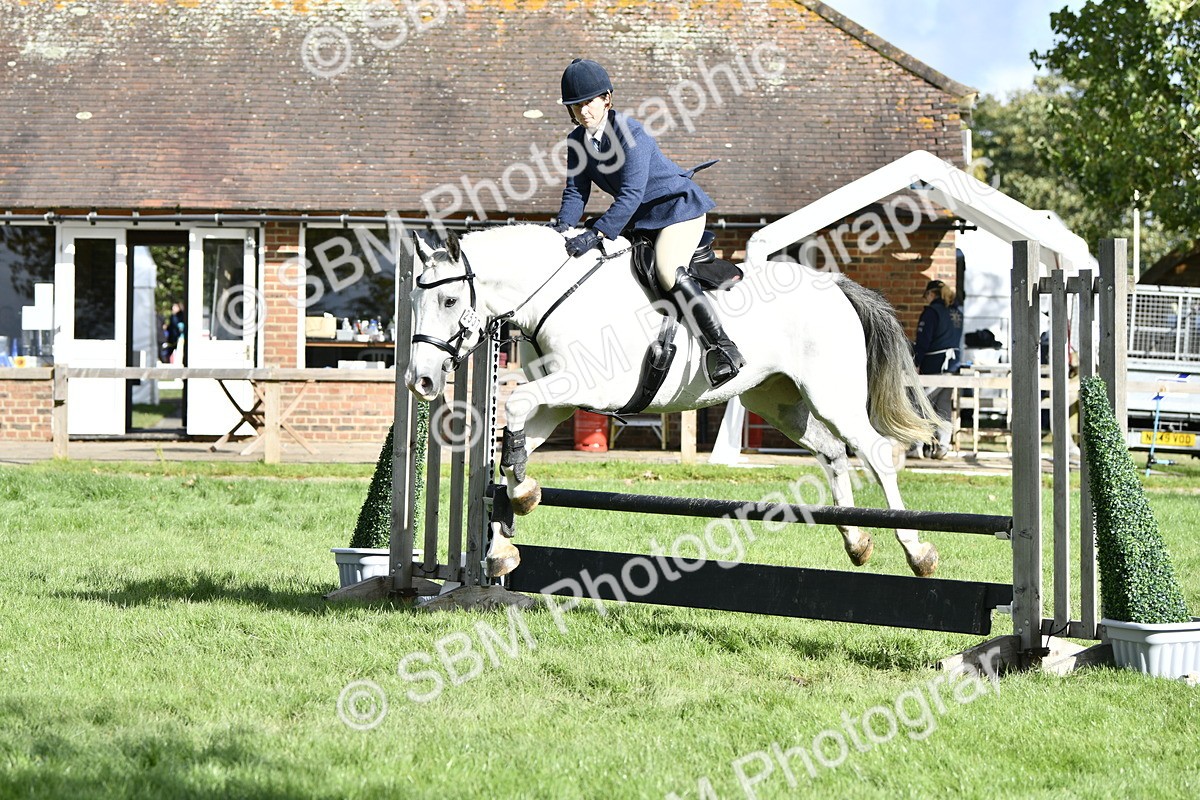 SBM_49964 - S34 - Novice & Newcomers Working Hunter