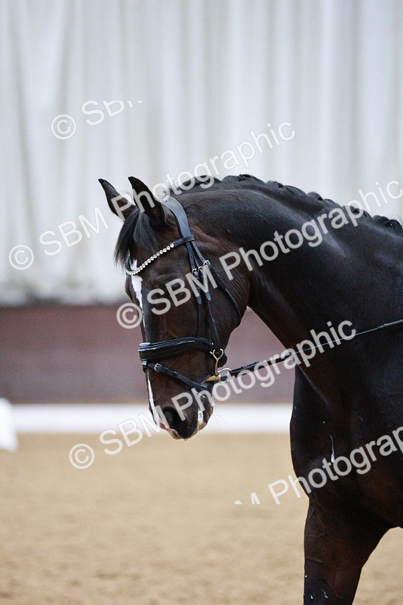 SBM_020704 - Class 13 - FEI INT I - 15.30-16.00
