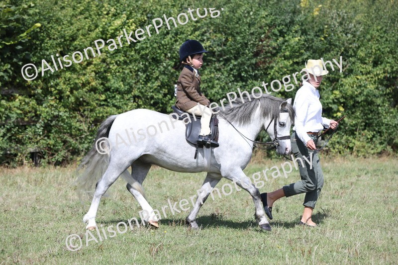 20250831-2653 - Class 17 - Lead Rein Pony