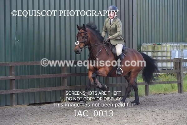 JAC_0013 - CLASS 3 Intermediate Working Hunter (0.70m - 0.85m)