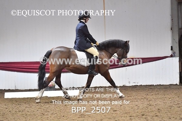 BPP_2507 - 31 - E CLARKSTON