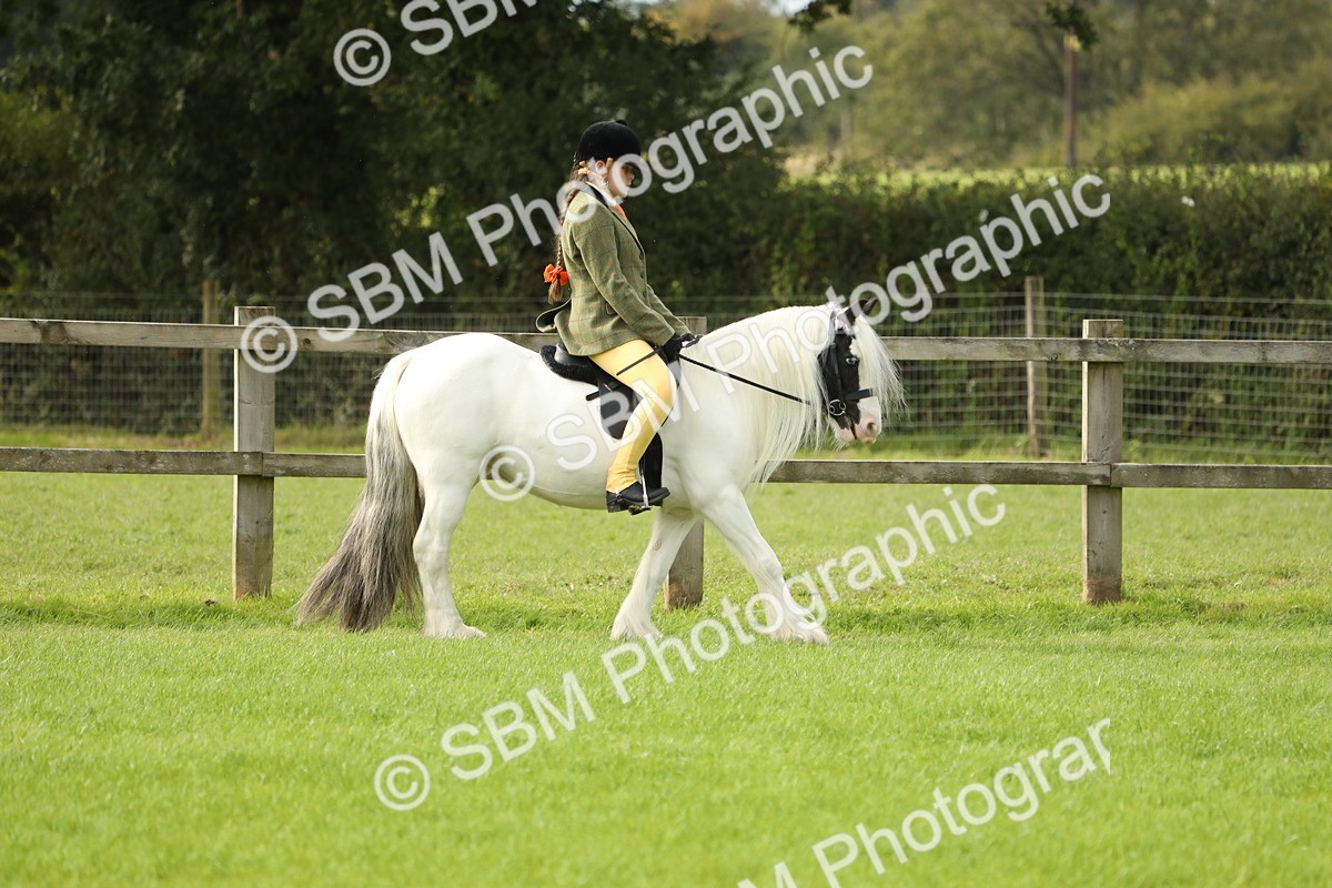 SBM_71461 - S41 - Ridden Equitation (Best Rider)