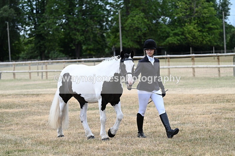 WJ7_1464 - Class 4 Prettiest Mare up to 14.2hh in hand