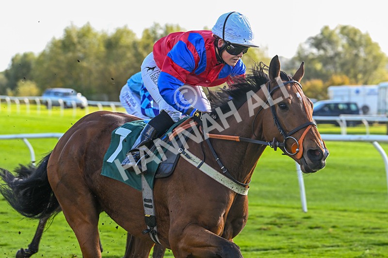 191024-Race 4-Three Dons-4327 - Race 4