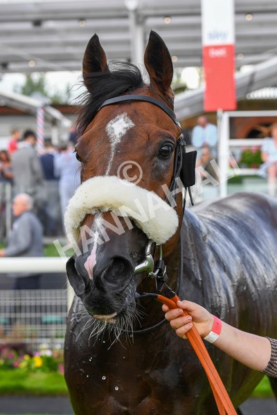 290723-Race 6-Dark Moon Rising-0998 - Race 6 5.10pm Betting Better With Sky Bet Handicap