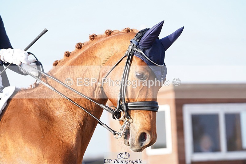 250403-082416-00012 - 004-Sara-Jane.Lanning-Hawtins.Lirica