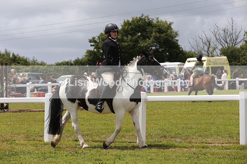 1X9A4691 - Class 34: Veteran Ridden