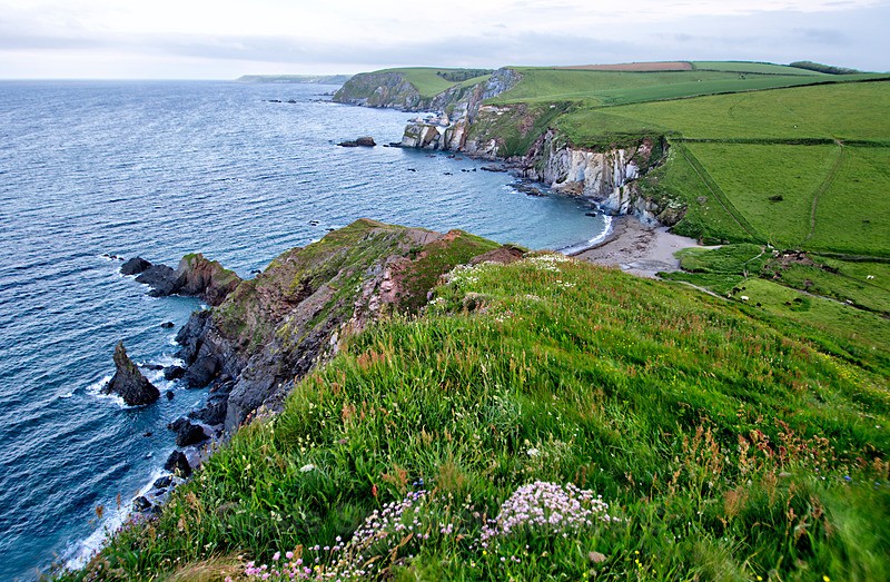 Ayrmer Cove view from the coastpath