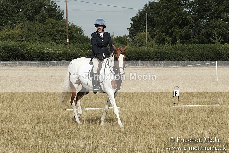 _PJP5586 - Dressage Classes BVRC Show 2018