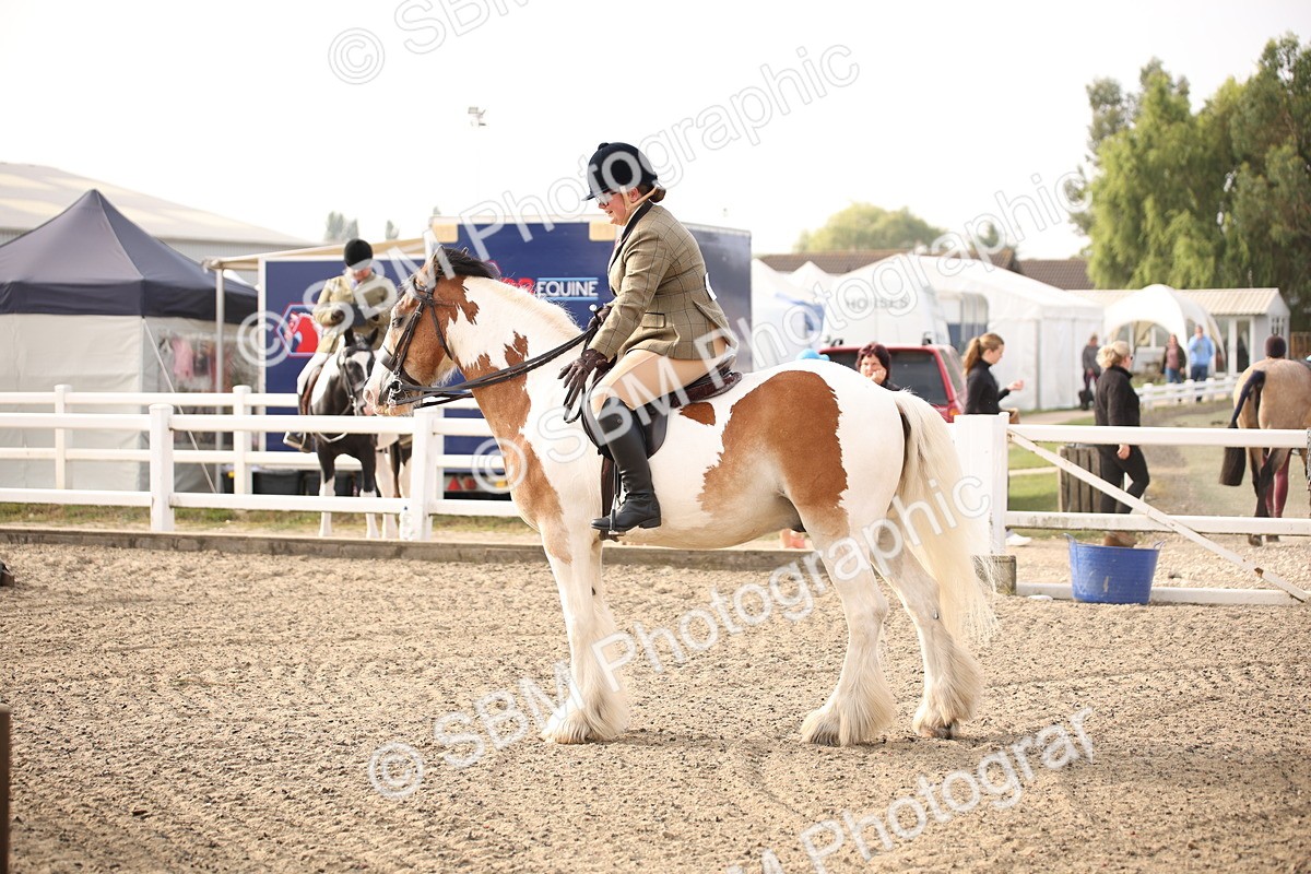 SBM_10268 - Class 402 Riding Club Horse