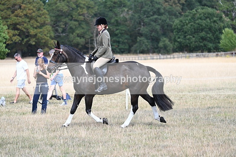 WJ7_5835 - Class 13 Ridden Veterans