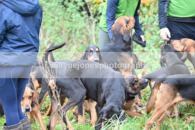 WJ6_8635 - Meet