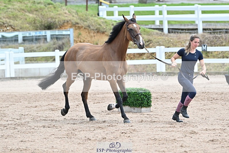 240717A-143049-02093 - Trot Up 2pm to 3pm - This folder is not in time order