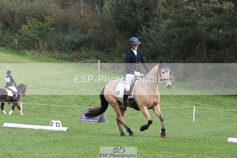 231019-141410-03920 - 442-BICTON.INCREDIBLY.DUN-millie.jo.challinor-DR