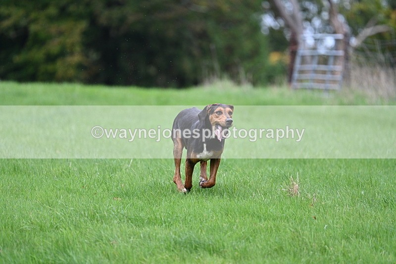 WJ7_4320 - Camera 1 Line 3