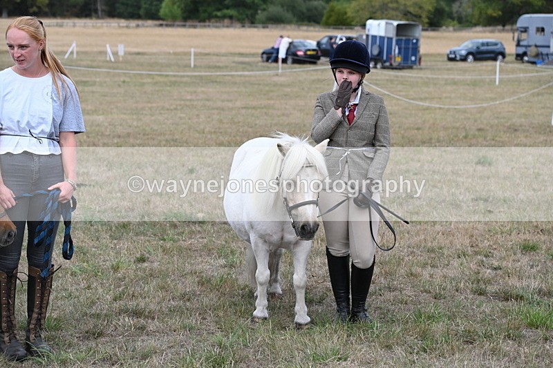 WJ6_7104 - Class 21 Shetland & Mini Horses